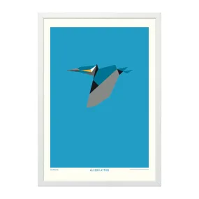 Alcedo Atthis - A4