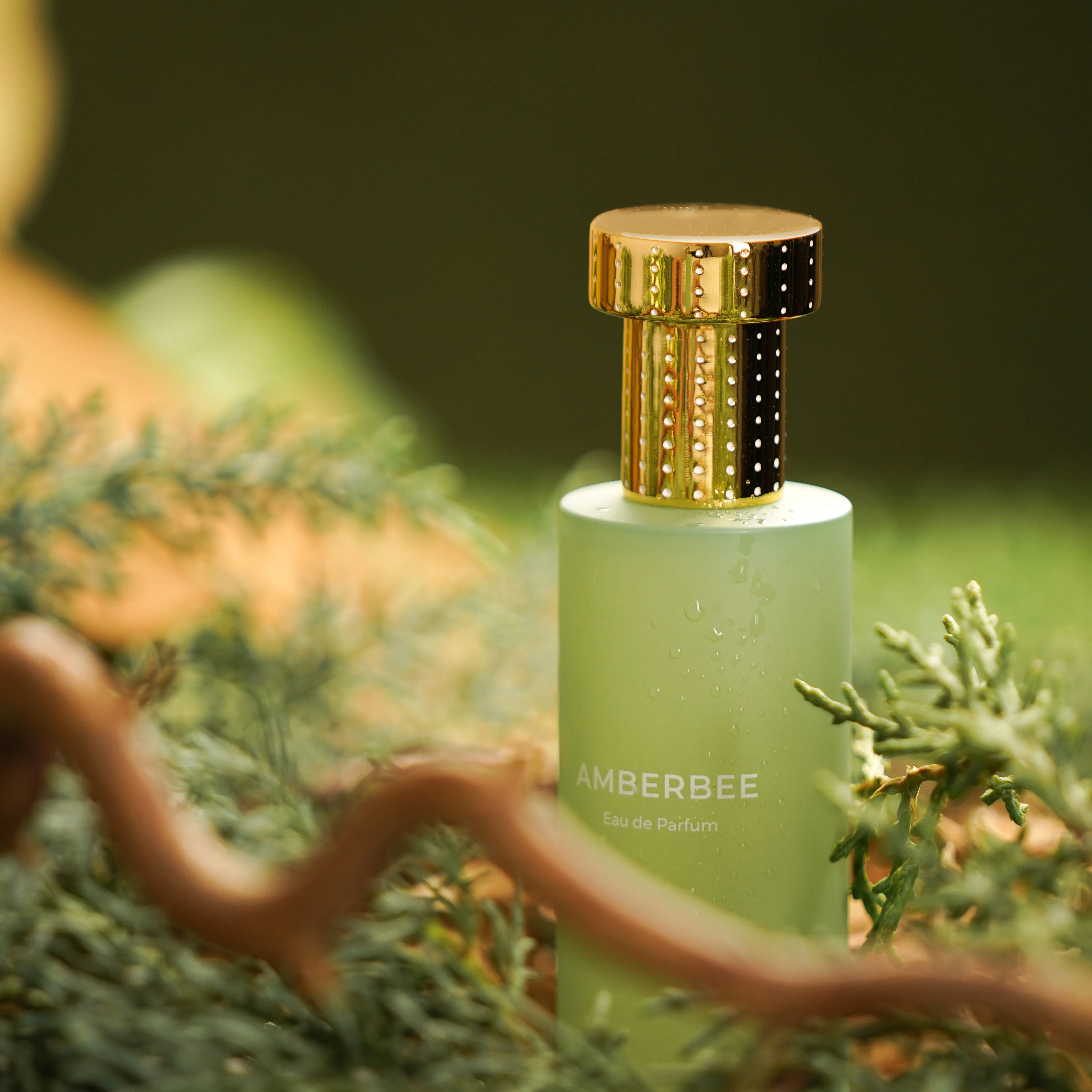 Amberbee Eau de Parfum